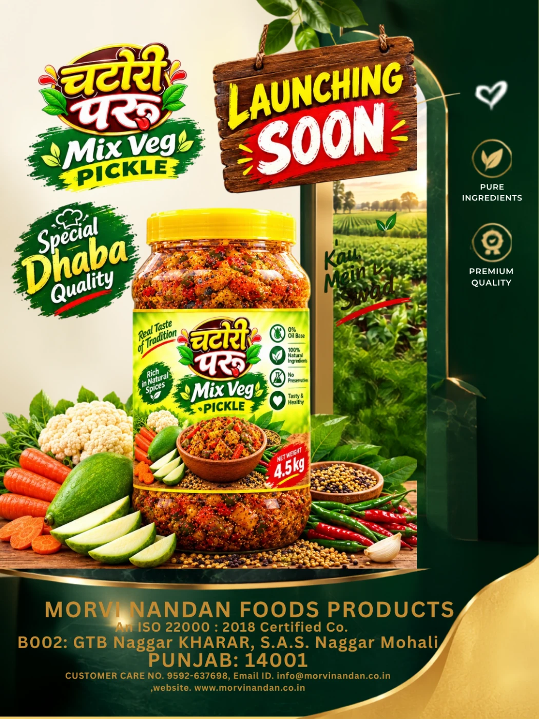 MORVI NANDAN FOODS PRODUCTS product photograph